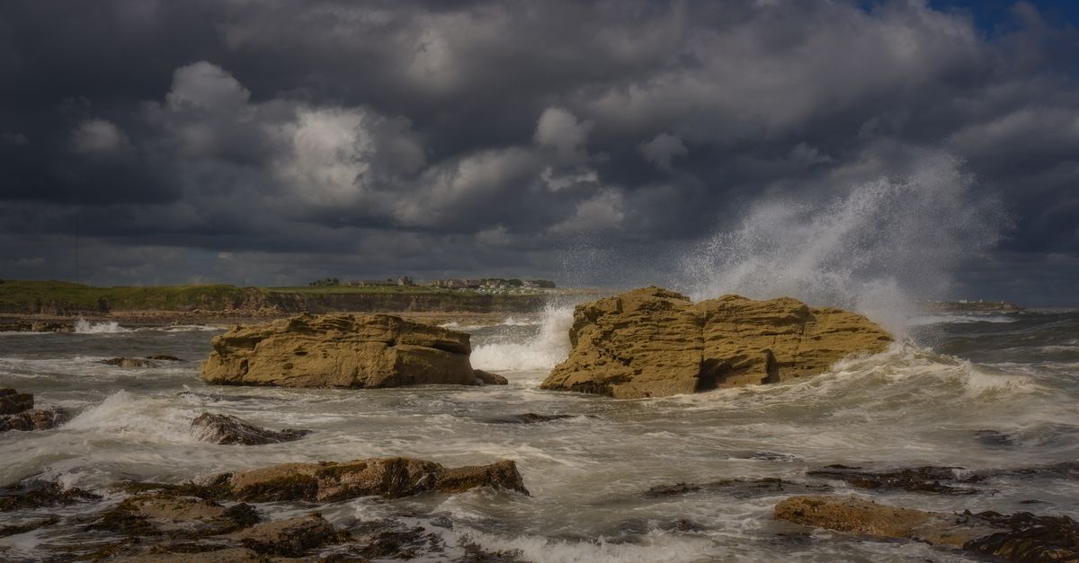 Cyclone Arnab: Andhra Pradesh’s Preparedness, Evacuation Efforts and Local Authority Response