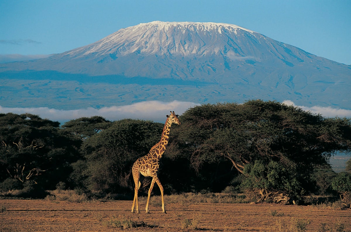 3-Day Tazama Amboseli Safari