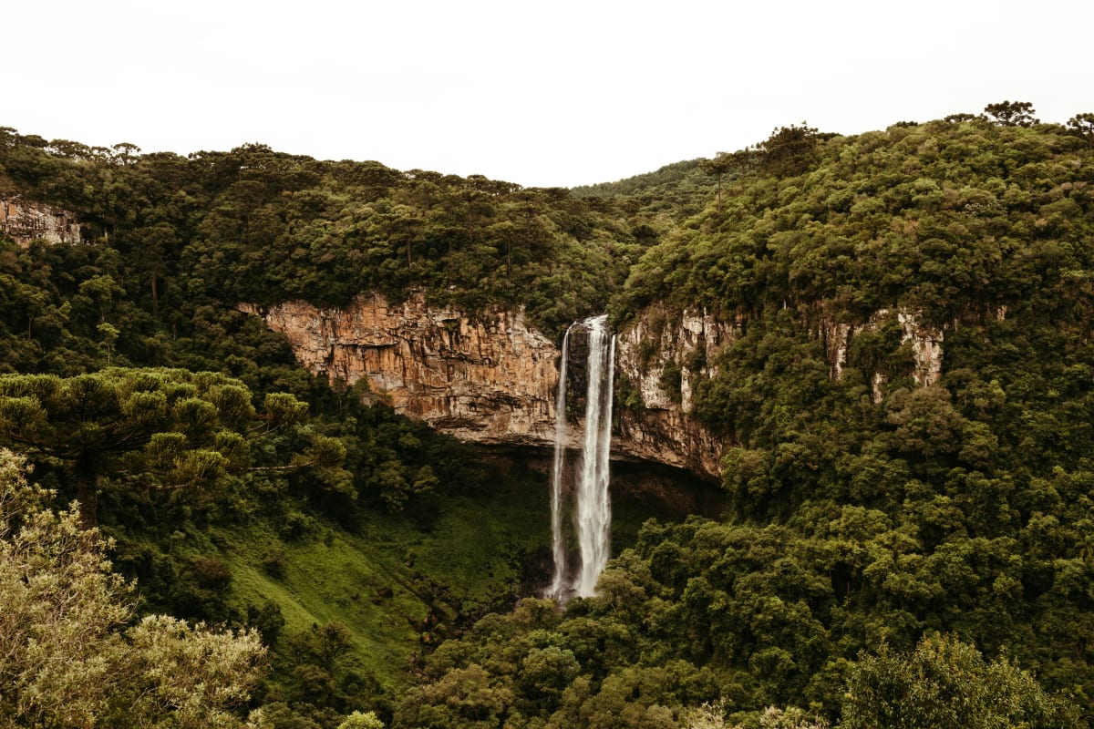 6 Day Mid Luxury Safari Includes Walking