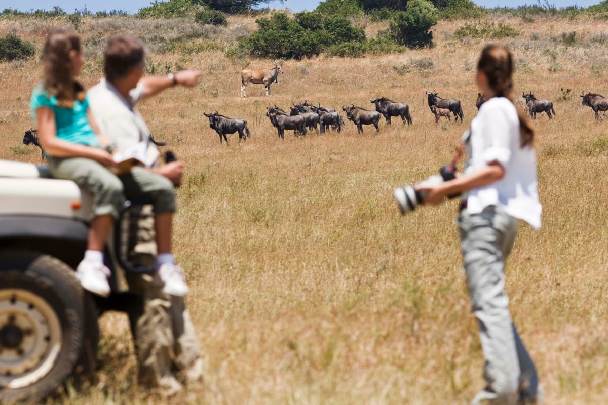 8 Day Great Wildbeest Migration Safari — Serengeti, Tarangire & Ngorongoro