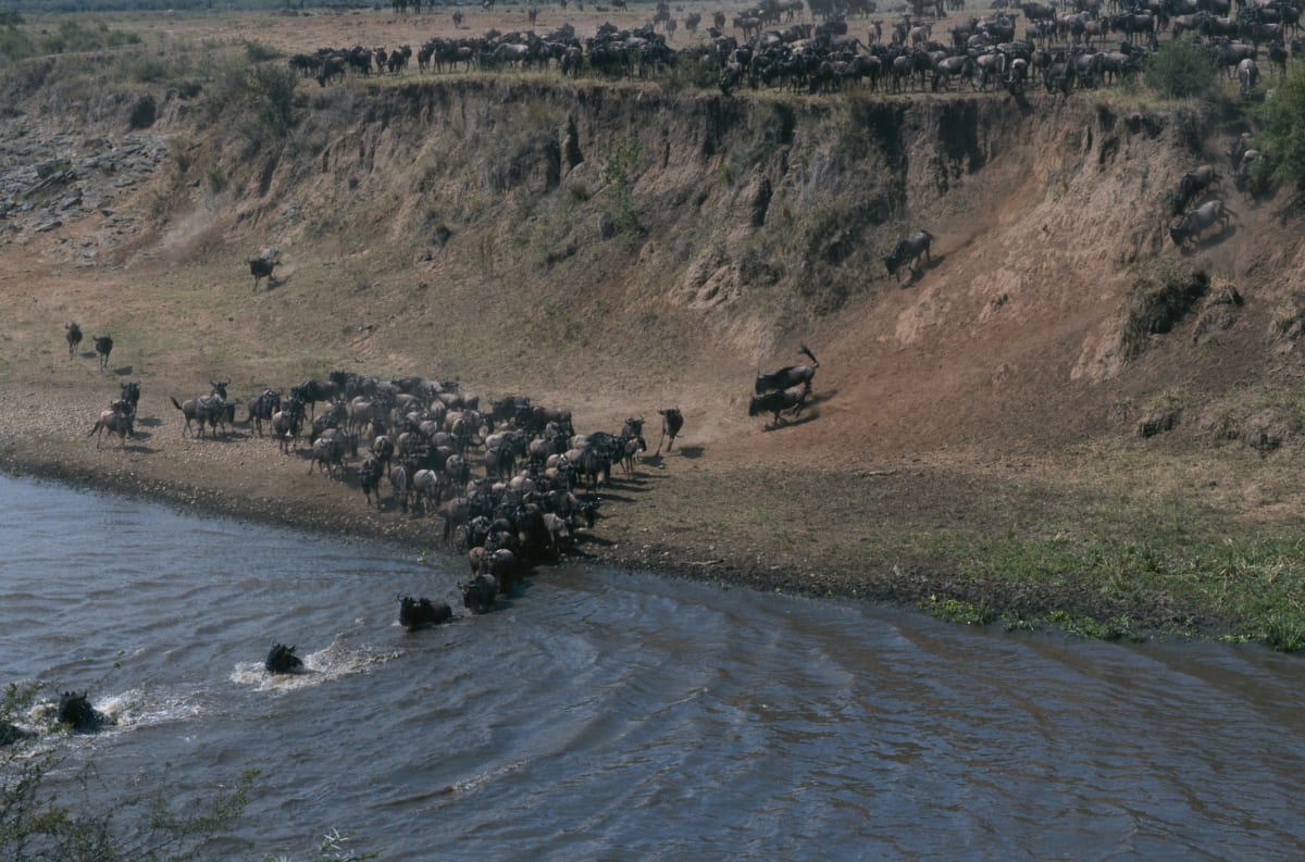 High Season 3 Days Tanzania Safari 2027 (4 Stars)