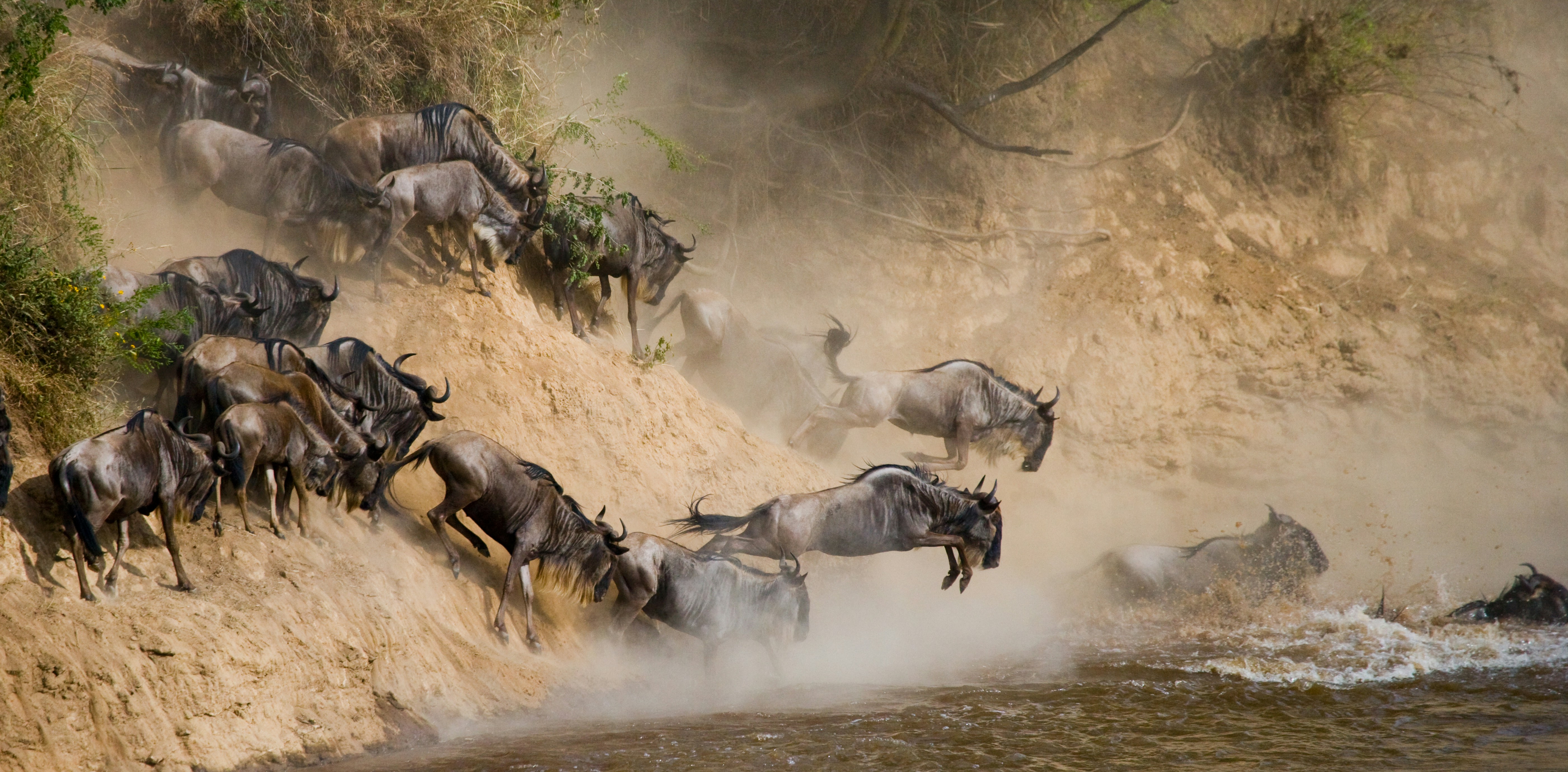 Kenya safari landscape