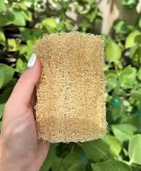 Buy SPONGE SOFT SHORT online in Lagos