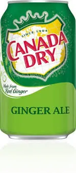 Buy CANADA DRY GINGER ALE 221ML CAN DRINK online in Lagos