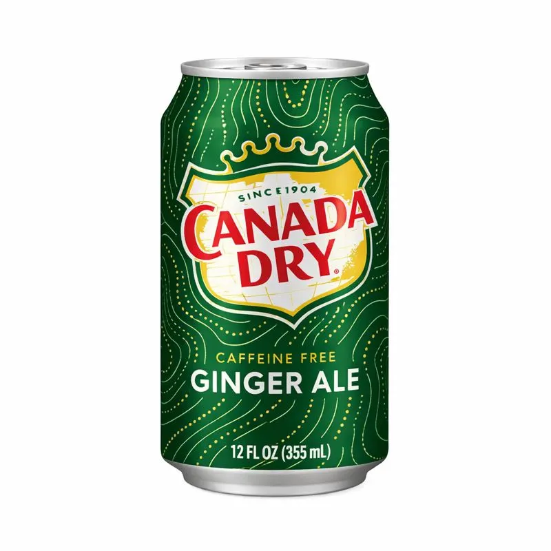 Buy CANADA DRY GINGER ALE CAN DRINK online in Lagos