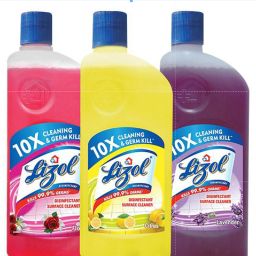 Lizol cleaning