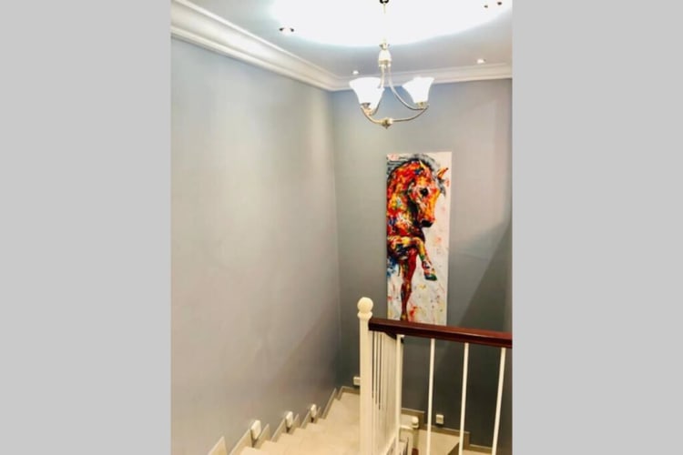 Duplex Polagro 14
