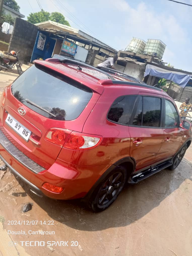Hyundai Santa Fe 2010 1