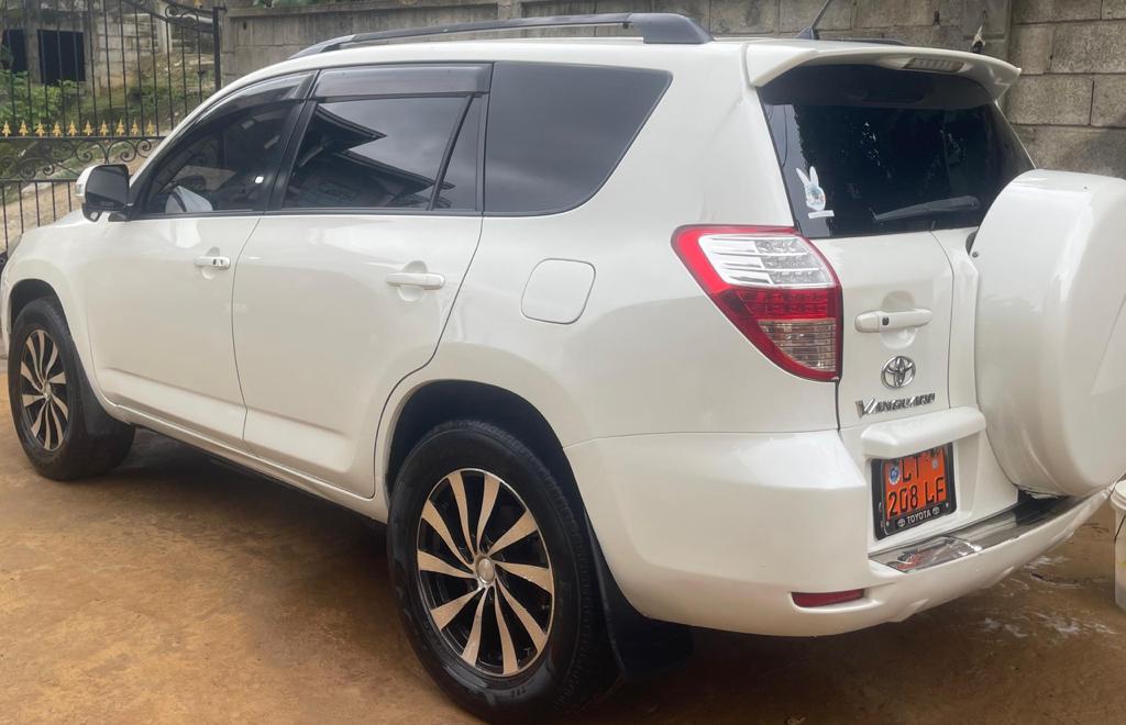 Toyota RAV4 2010 8
