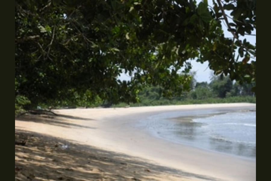 Eden Logde Kribi 4
