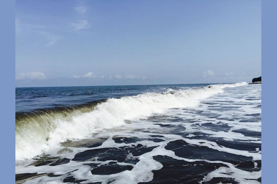 Tara Plage 1