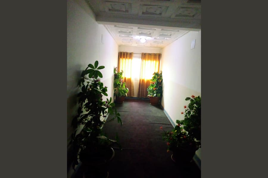 Safari Hotel 2