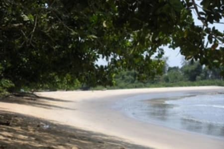 Eden Logde Kribi 4