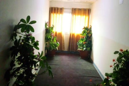 Safari Hotel 2