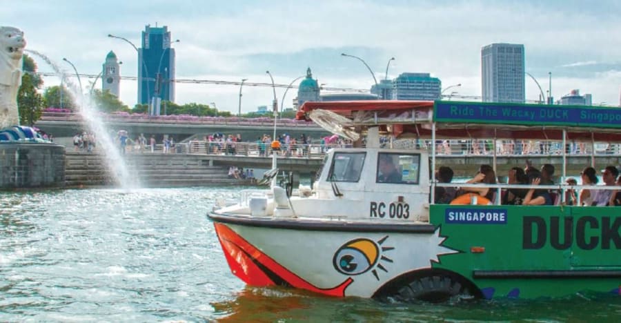 Visite privée du canard de Singapour 1