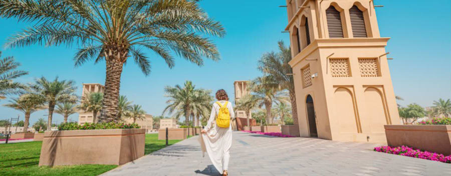 Tour de ville de DUBAI 6