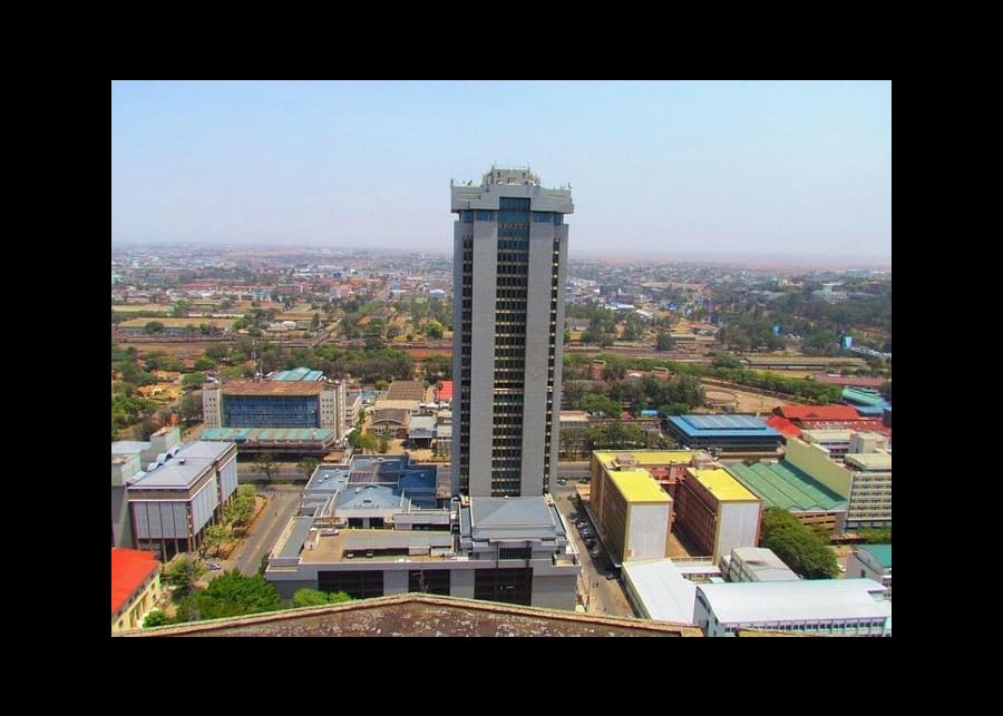 Visite de la ville de Nairobi, incluant 2 musées 1