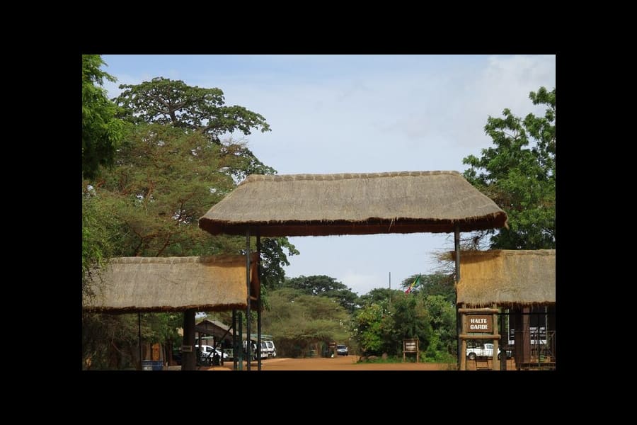 Safari â la réserve animalière de Bandia 1