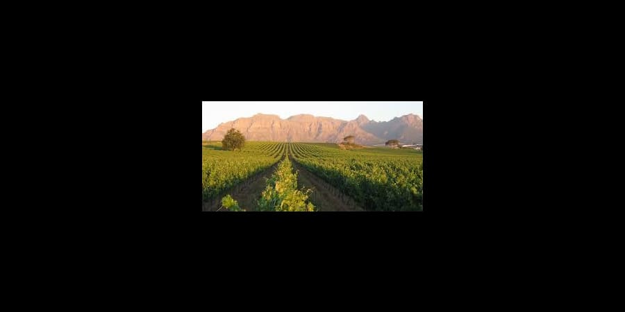 ROUTE DES VINS DU CAP 3