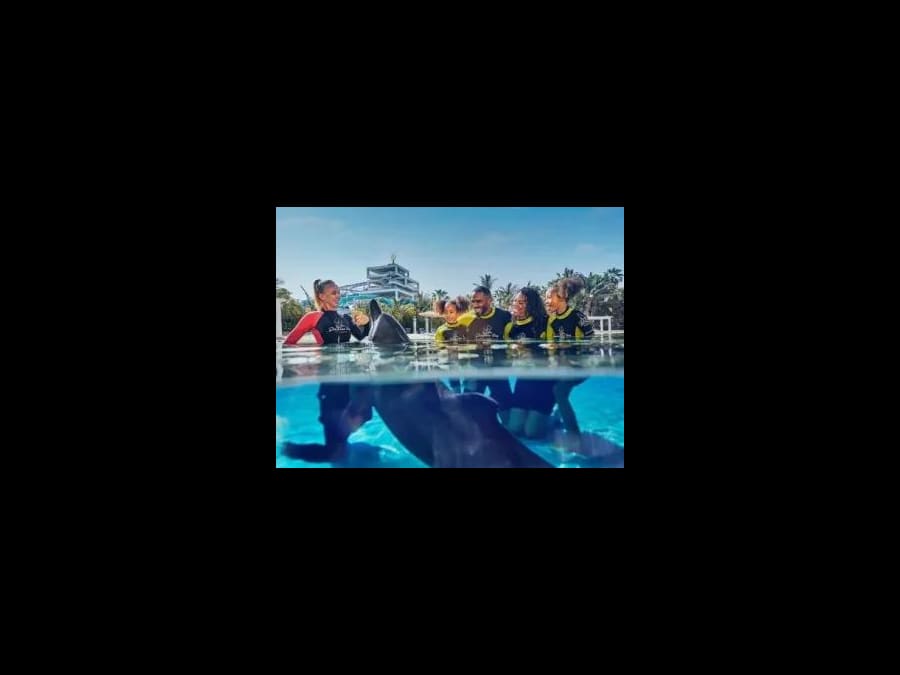 Atlas Village -Dolphin Encounter 1