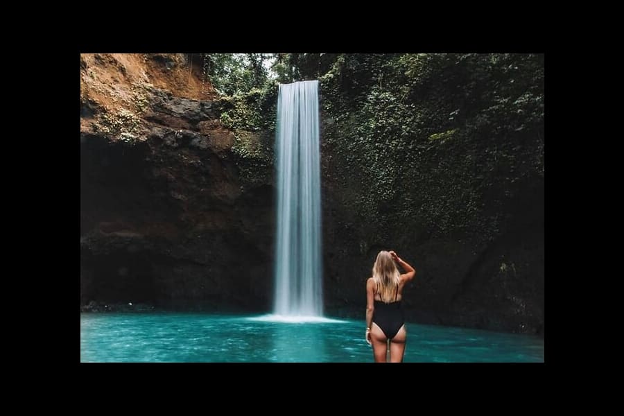 Le meilleur des cascades d'Ubud, de la terrasse de riz de Tegalalang et de la balançoire 1