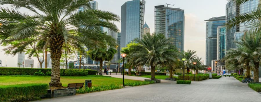 Tour de ville de DUBAI 7