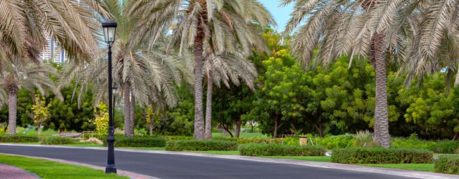 Tour de ville de DUBAI 3