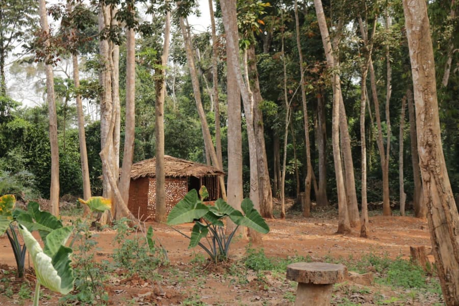 gallery
