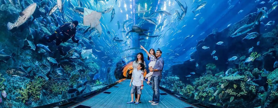 Dubai Mall Aquarium & Underwater Zoo 1