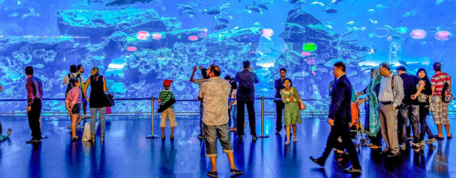 Dubai Mall Aquarium & Underwater Zoo 2