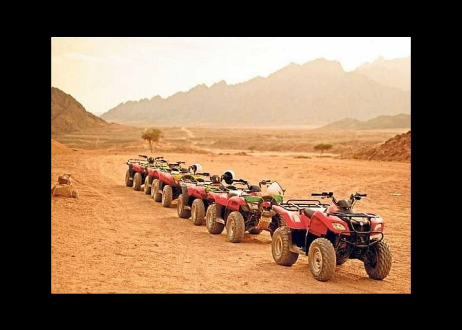 Quad 1