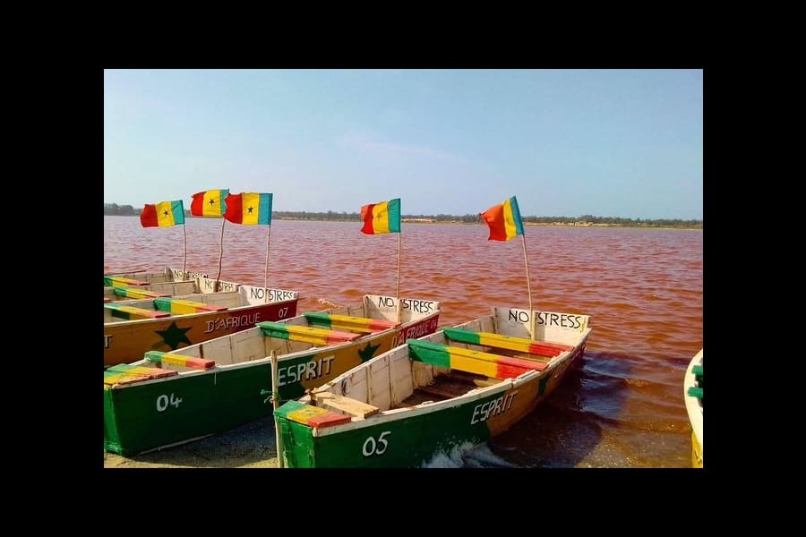 Safari â Bandia + Visite du Lac Rose 2