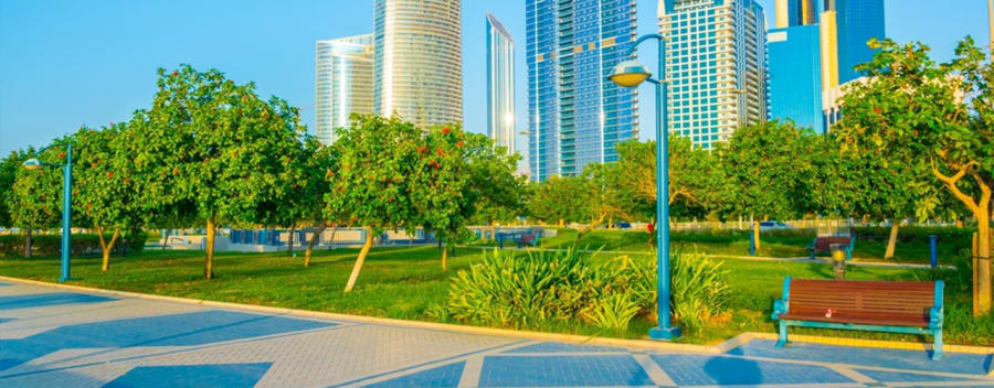 Visite de la ville d'Abu Dhabi 4