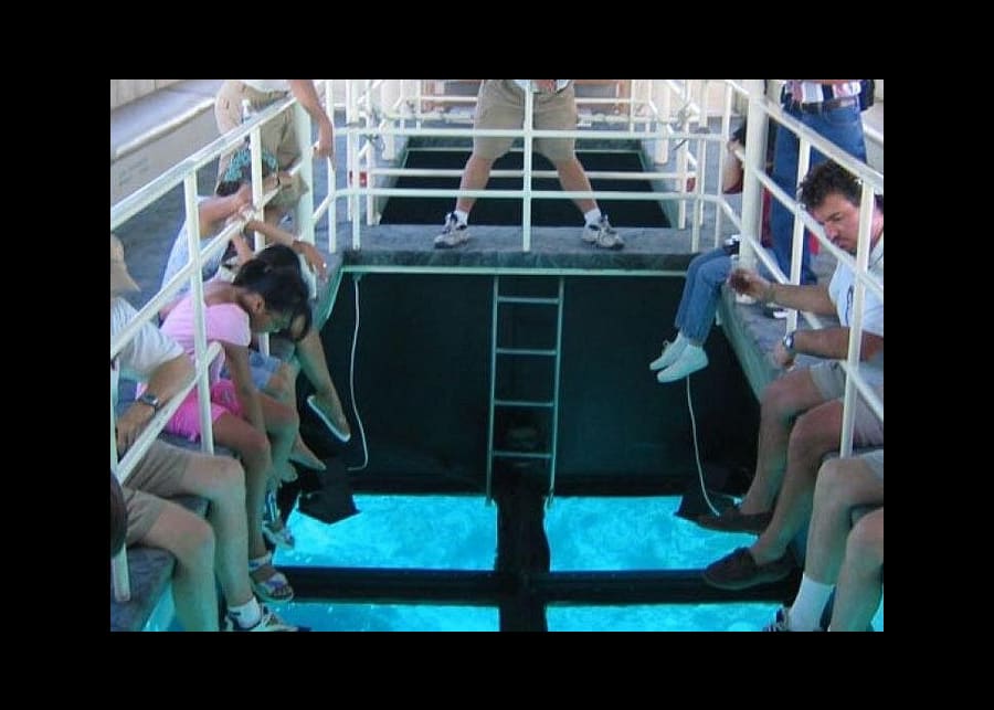 Excursion d'une journée complète en bateau à fond de verre avec déjeuner 1