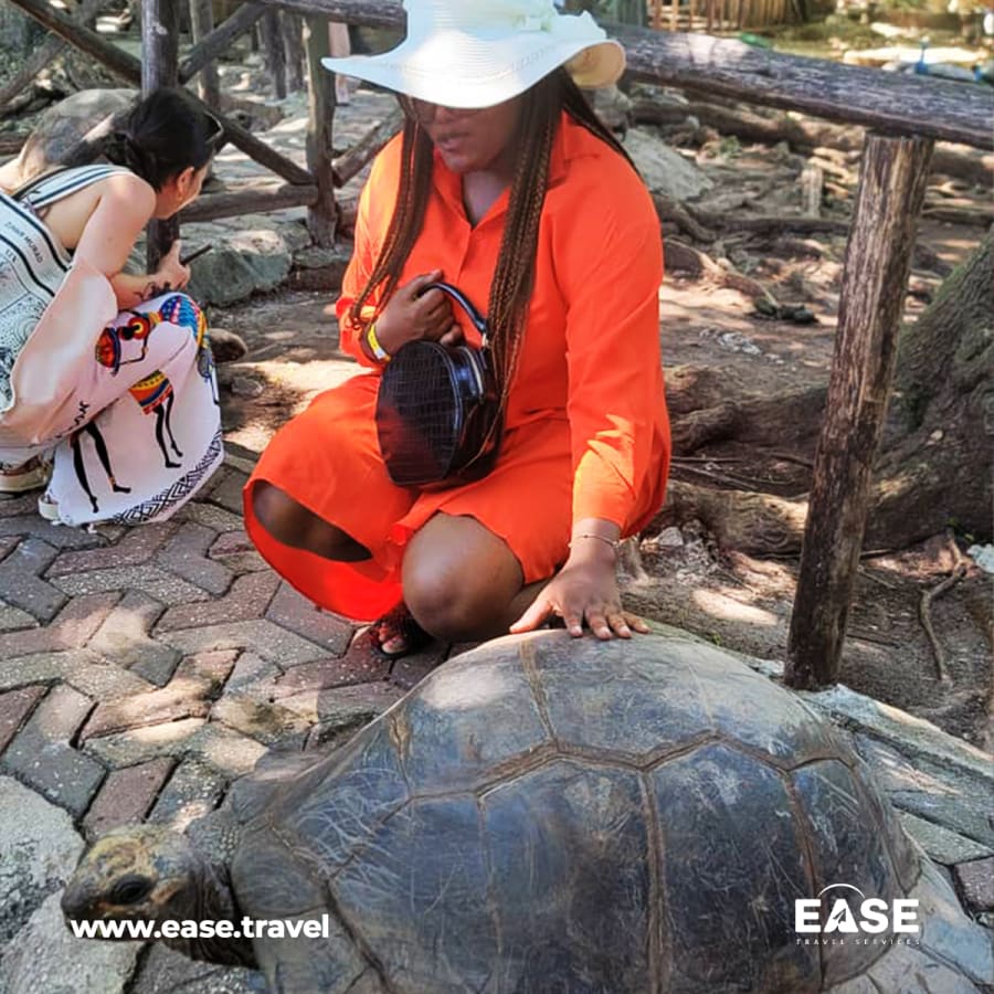 user provided pictures