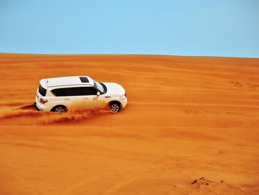 Jour 4 : Activité 03 Safari dans le desert avec spectacle et BBQ.