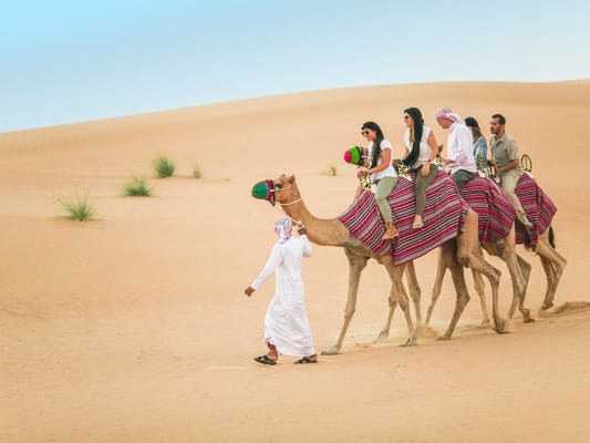 🥾 JOUR 4 – SAFARI DANS LE DESERT AVEC SPECTACLE DE DANSE