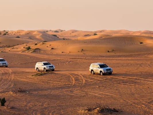 Jour 4 : Activité 03 Safari dans le desert avec spectacle et BBQ.