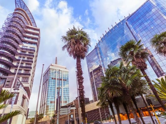 Jour 2 : Activité  Visite de la Ville de Dubaï.