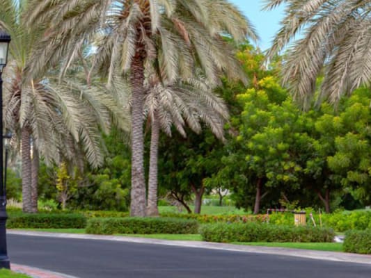 Tour de ville de DUBAI 3