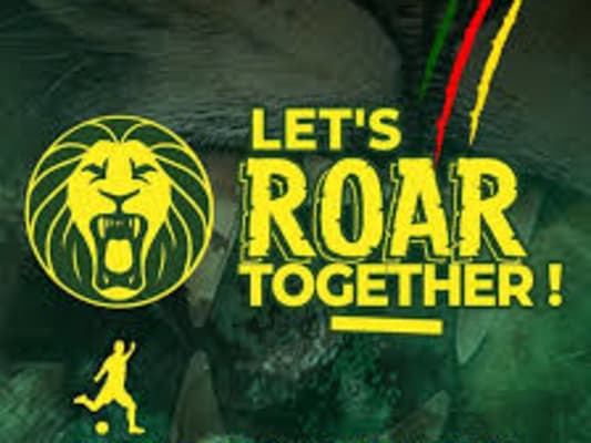 Jour 3 : Activité Premier match des lions