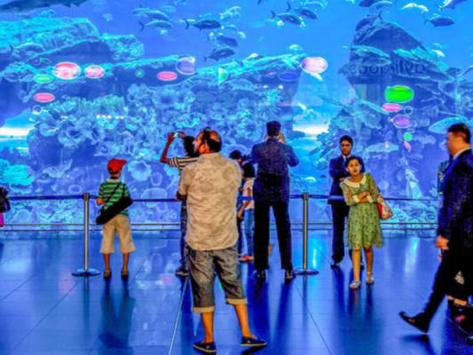 Dubai Mall Aquarium & Underwater Zoo 2