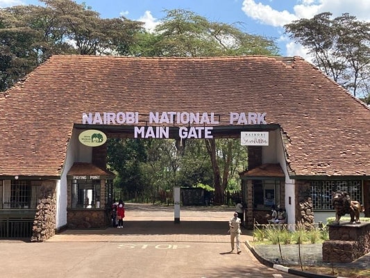 Jour 2 : Nairobi National park tour 