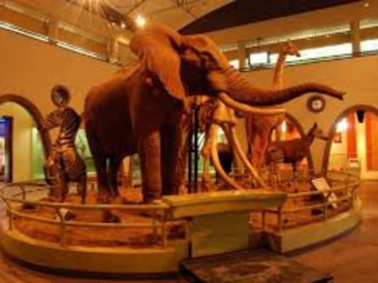 Jour 3 : Nairobi city tour, including 2 museums.