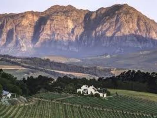 ROUTE DES VINS DU CAP 2