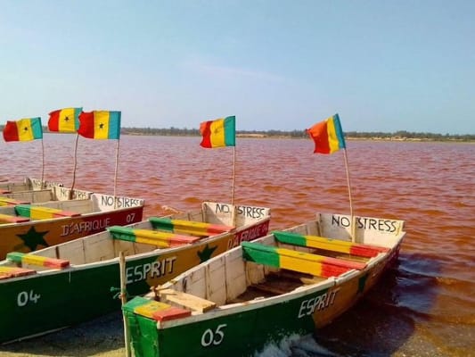 Safari â Bandia + Visite du Lac Rose 2