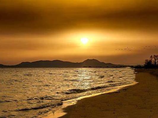 complementary pictures