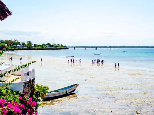 🏙️Kisite Marine Park and Wasini Island Tour with Lunch