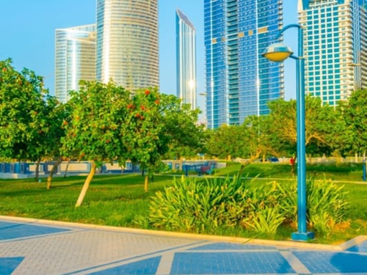 Visite de la ville d'Abu Dhabi 4