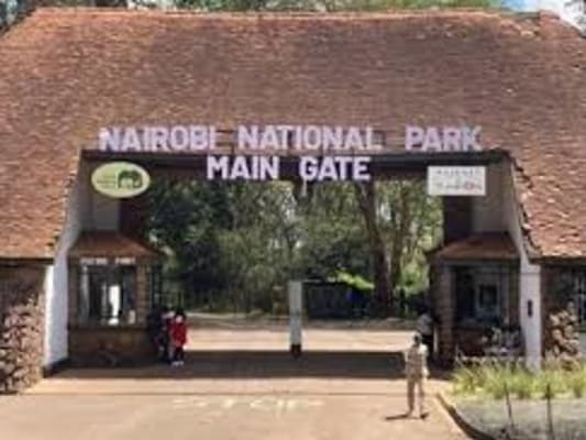 Jour 2 : Nairobi National park tour 